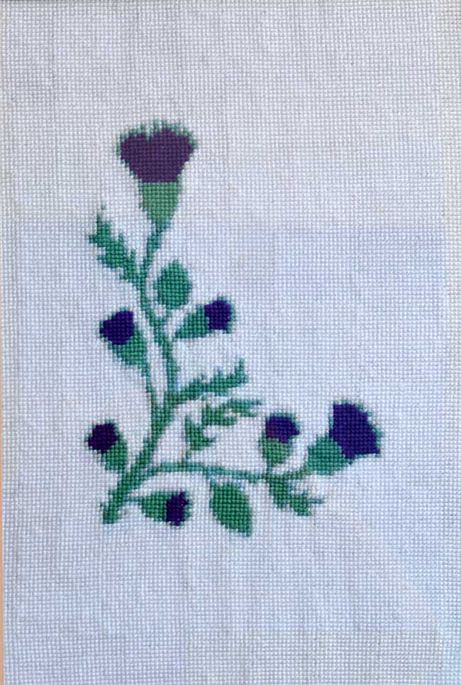 Crossstitch Scottish Thistle fine stitch