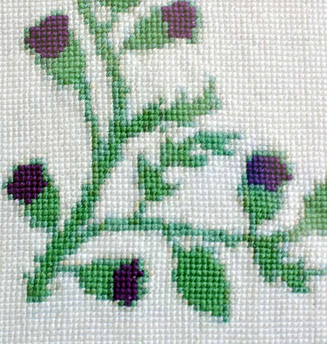 Crossstitch Scottish Thistle fine stitch