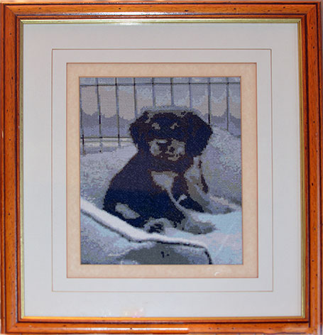 Crossstitch Cavalier King Charles Spaniel Puppy